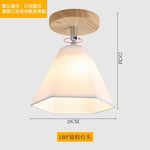 Ceiling Lamp Shade