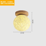 Ceiling Lamp Shade