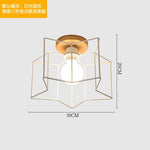 Ceiling Lamp Shade