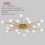 Led Ceiling Lamp